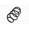 Neox SP7175 - Coil Spring (Front)