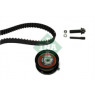 INA 530016410 - Timing Belt Kit