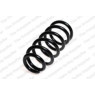 Neox SC6123 - Coil Spring (Rear)
