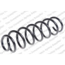 Neox SP6651 - Coil Spring (Rear)