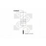 BGA Group V165071 - Exhaust Valve