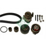 INA 530050330 - Timing Belt-Water Pump Kit