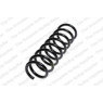 Neox SP8906 - Coil Spring (Rear)