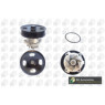 BGA Group CP3716 - Water Pump
