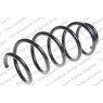 Neox SP7040 - Coil Spring (Front)