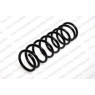 Neox ST1067 - Coil Spring (Rear)