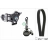 INA 529032630 - Drive Belt/Water Pump Kit