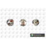BGA Group CT5259 - Thermostat