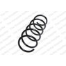 Neox SH6076 - Coil Spring (Front)