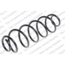 Neox SA6248 - Coil Spring (Rear)