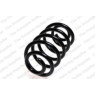 Neox SX6046 - Coil Spring (Rear)
