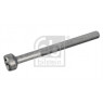 Febi 172930 - Fuel Injector