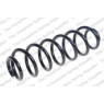 Neox ST1382 - Coil Spring (Rear)