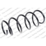 Neox SA6079 - Coil Spring (Front)