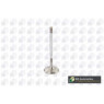 BGA Group V851291 - Inlet Valve