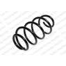 Neox SH6323 - Coil Spring (Front)