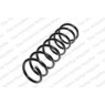 Neox SA6033 - Coil Spring (Rear)