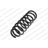 Neox ST1460 - Coil Spring (Rear)