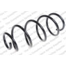 Neox SP6921 - Coil Spring (Front)