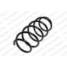 Neox SP7504 - Coil Spring (Front)