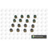 BGA Group VK1336 - Valve Stem Seal