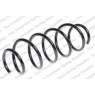 Neox SH6051 - Coil Spring (Front)