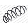 Neox SP7066 - Coil Spring (Front)