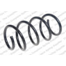 Neox SP7427 - Coil Spring (Front)