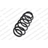 Neox SP6699 - Coil Spring (Rear)