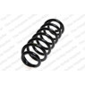 Neox SH6253 - Coil Spring (Rear)