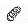 Neox SP7273 - Coil Spring (Front)