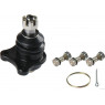 Herth+Buss Jakoparts J4985000 - Ball Joint (Upper Left Hand+Right Hand)