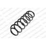 Neox SH6117 - Coil Spring (Rear)
