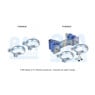 BM Catalysts FK50463 - Fitting Kit-Exhaust (Rear)