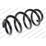 Neox SP7014 - Coil Spring (Front)