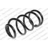 Neox SC6034 - Coil Spring (Front)