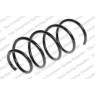 Neox SP6717 - Coil Spring (Front)