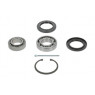 Moog VO-WB-11060 - Wheel Bearing Kit (Rear)