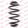 KYB RJ6223 - Coil Spring (Rear)