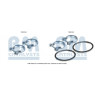 BM Catalysts FK80152 - Fitting Kit-Catalyst