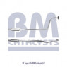 BM Catalysts BM50048 - Pipe