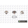 BGA Group CT5294 - Thermostat