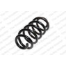 Neox SP9192 - Coil Spring (Front)