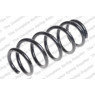 Neox SP7591 - Coil Spring (Rear)