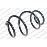 Neox SP9229 - Coil Spring (Front)