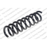 Neox SP8362 - Coil Spring (Rear)