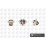 BGA Group CT5269 - Thermostat