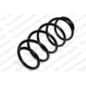 Neox SP6819 - Coil Spring (Front)