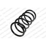 Neox SP9455 - Coil Spring (Front)