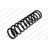 Neox SP8422 - Coil Spring (Rear)